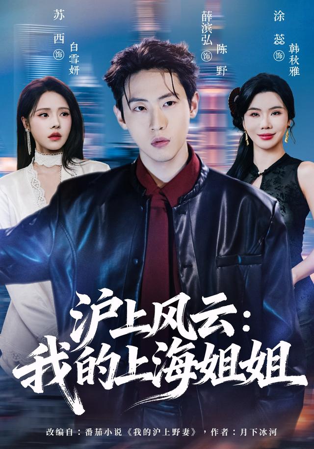 沪上风云：我的上海姐姐海报